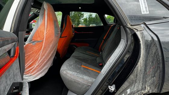 Sie Version 100kwh Elektro Kleinwagen Anpassung und angepasste Anforderung Optionen