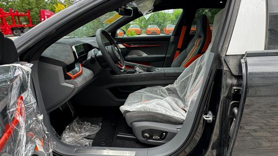 Sie Version 100kwh Elektro Kleinwagen Anpassung und angepasste Anforderung Optionen