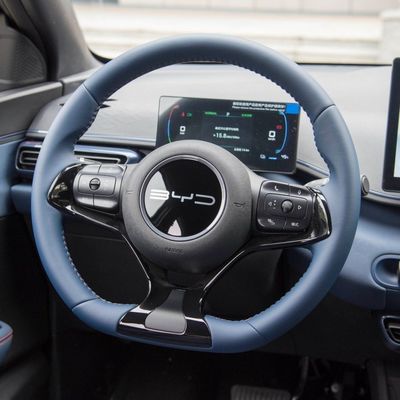 2024 Elektroauto Mini-Auto Byd Seagull 405km Fliegende Version in Schwarz