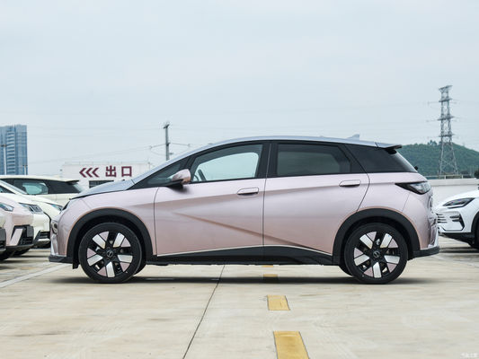 2024 Byd Dolphin EV Honor Editon 401 Knight Version Fahrzeug mit Linkslenkung