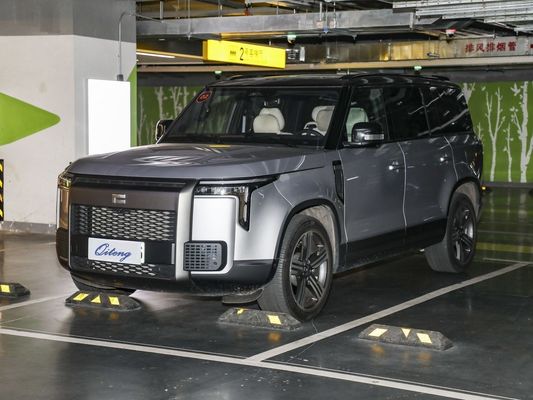 Geschlossener Karosserie Typ Anpassung 2023 Enjoy Edition 6 Sitz SUV