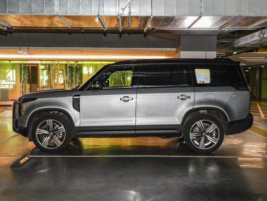 1600-2500CC HACCP Mgnt Zertifizierung 2023 Enjoy Edition 6 Sitz SUV mit Hubraum