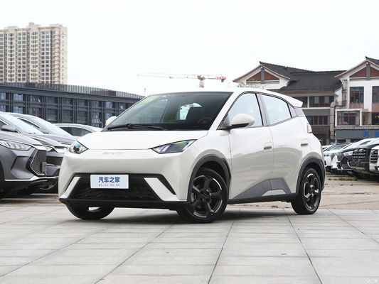4 Sitzplätze Elektroauto Byd Seagull 2023 Freiheit Anpassung für personalisierte Anfragen