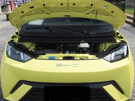Elektrische Kraftstoffart Anpassung 2023 Byd Seemoll 405 Km Modern Auto Energiefahrzeug