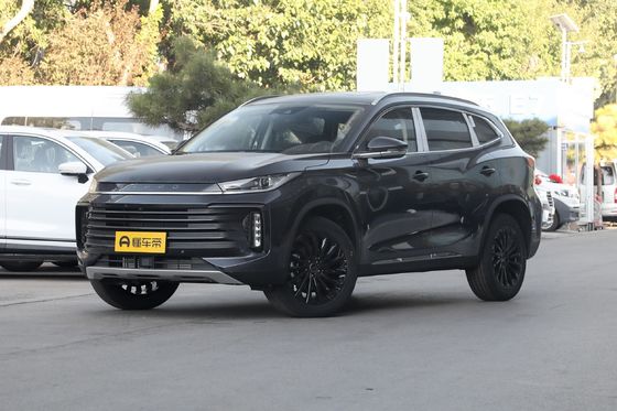 300 t 2WD Exeed 2023 geschlossener Aufbaustyp mit 3 Sitzplätzen für Sal