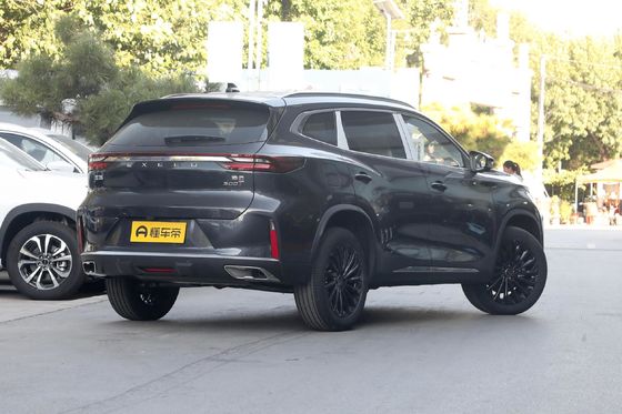300 t 2WD Exeed 2023 geschlossener Aufbaustyp mit 3 Sitzplätzen für Sal