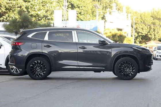 300 t 2WD Exeed 2023 geschlossener Aufbaustyp mit 3 Sitzplätzen für Sal
