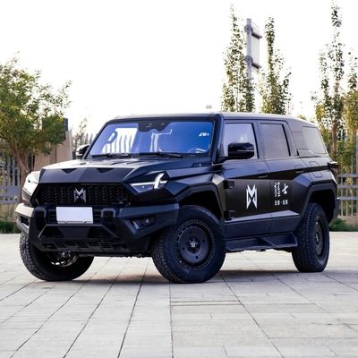 Anpassbares M-Hero 917 Elektroauto SUV Hybrid Extended Range EV mit Anpassung