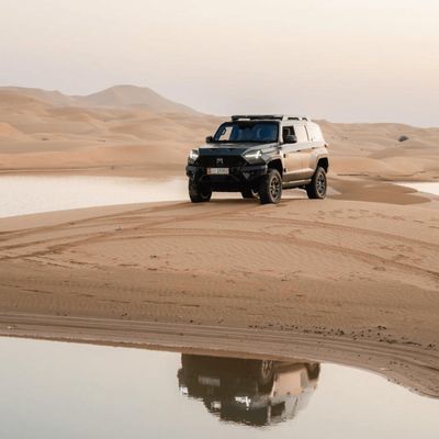 Hochleistungsfähige Dongfeng Mhero 917 Elektroauto SUV Hybrid Erweiterte Reichweite Gebrauchtwagen EV
