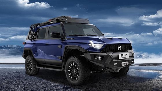 SUV Body Style Mhero 917 Elektroauto mit Elektro-SUV 2024 Auto Groß Mini Smart Gebraucht Elektro-EV-Auto