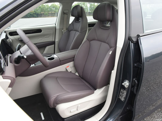 Elektrofahrzeug Leapmotor C11 Pure Electric 500 Comfort Edition EV SUV geschlossen 5 Sitzplätze