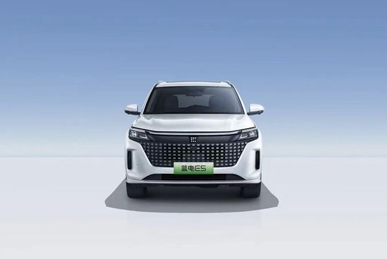 Landian E5 2024 Honor Edition 100 km Automatik Luxus 5-Sitzer mit Online-Service