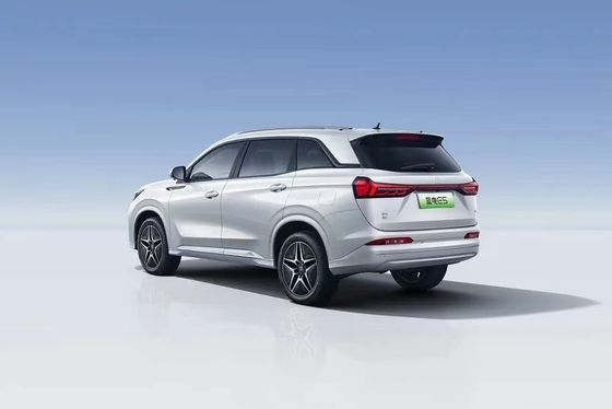Landian E5 2024 Honor Edition 100 km Automatik Luxus 5-Sitzer mit Online-Service