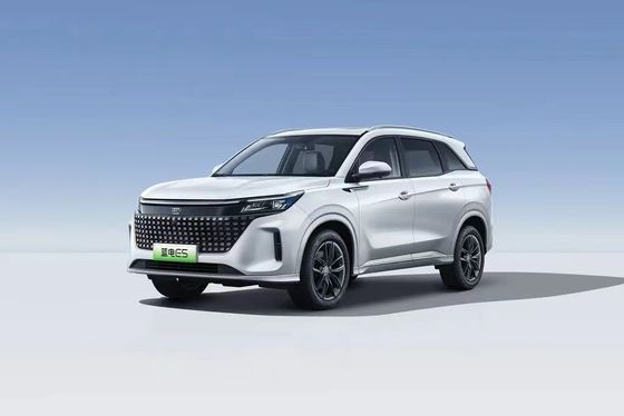 Landian E5 2024 Honor Edition 100 km Automatik Luxus 5-Sitzer mit Online-Service
