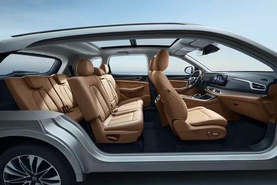 Landian E5 2024 Honor Edition 100 km Automatik Luxus 5-Sitzer mit Online-Service