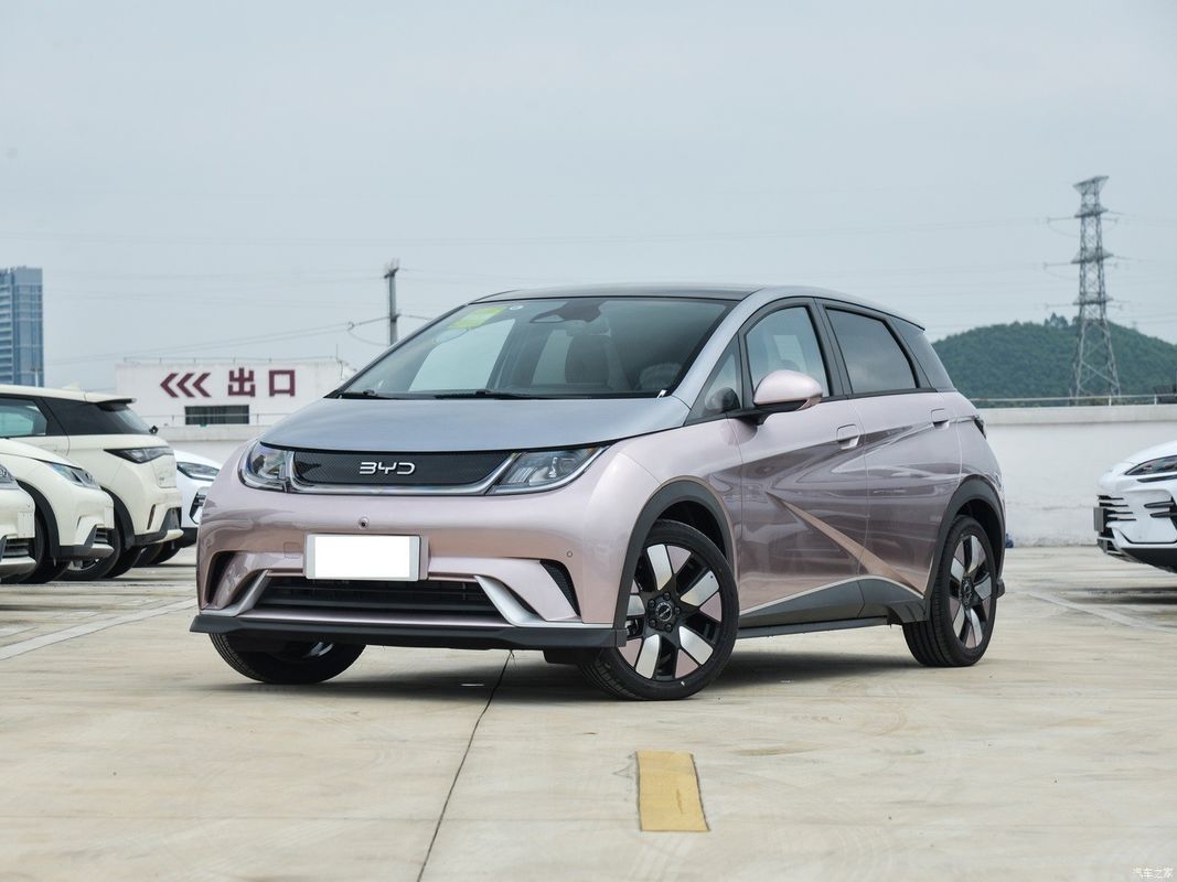 2024 Byd Dolphin EV Honor Editon 401 Knight Version Fahrzeug mit Linkslenkung