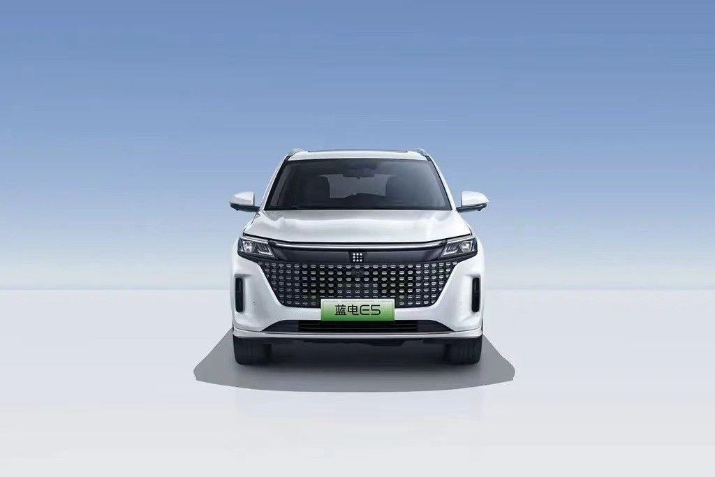 Landian E5 2024 Honor Edition 100 km Automatik Luxus 5-Sitzer mit Online-Service
