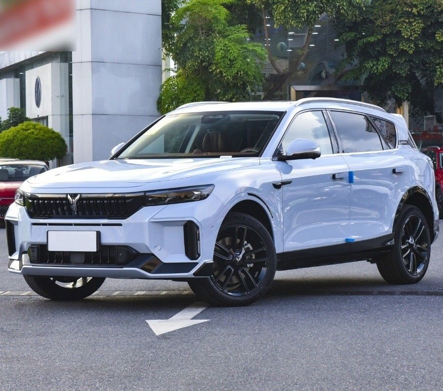 4905x1950x1645 Sitzplätze 5 Ultra-Long Range Energie Elektro-SUV Auto in von Voyah Free 2024